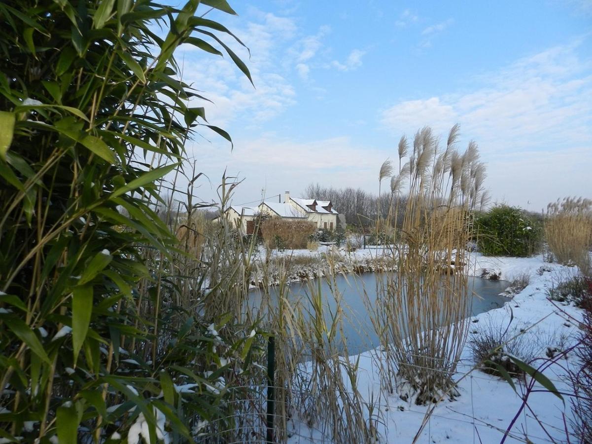 Gite La Grenouillere Esqueheries Exterior photo